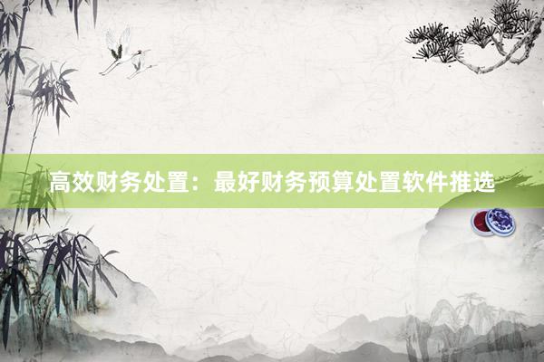 高效财务处置：最好财务预算处置软件推选