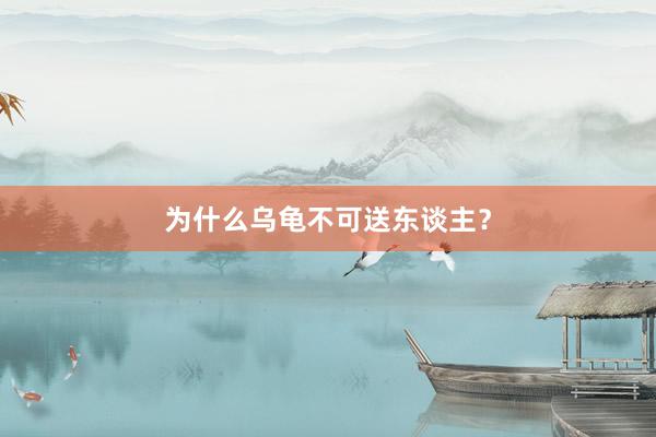 为什么乌龟不可送东谈主？